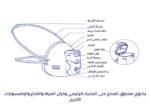 عربي 700x486